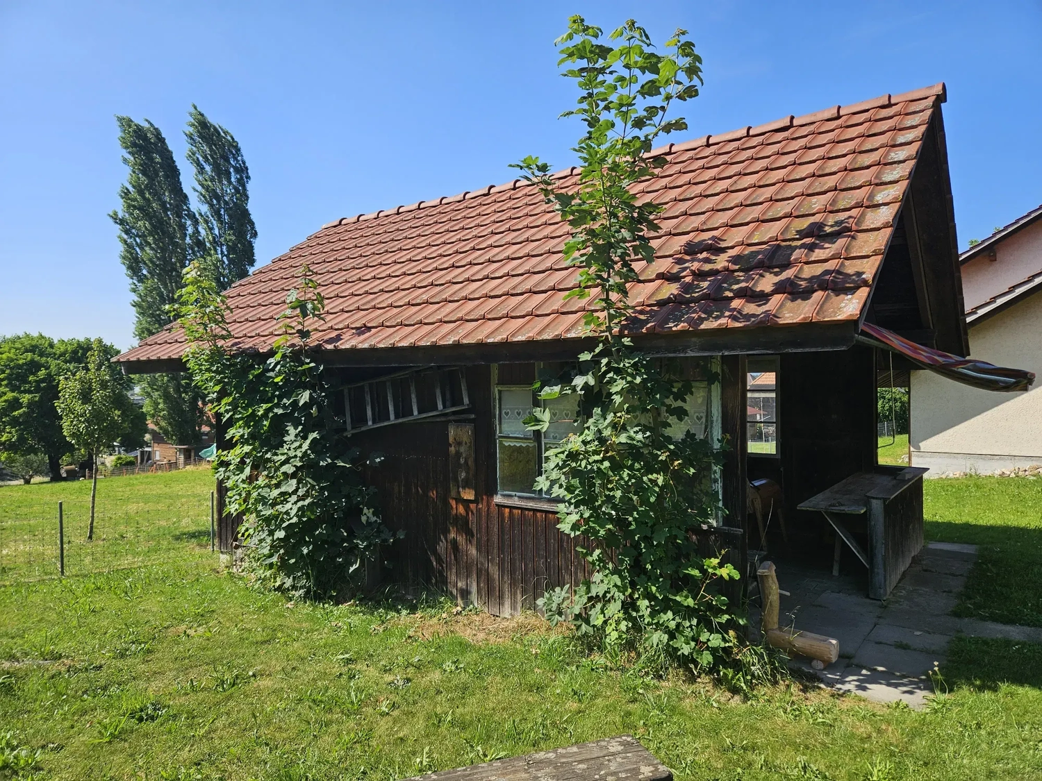 Immobilienmanagement Carmen Schwab GmbH - Haus Außenansicht