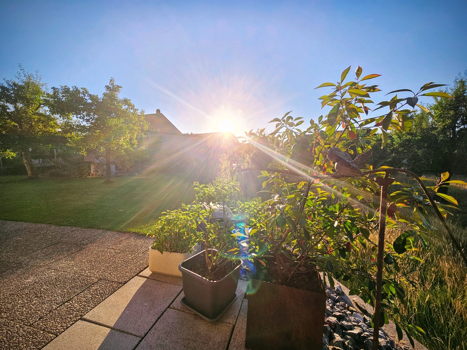 Immobilienmanagement Carmen Schwab GmbH - Haus Außenansicht
